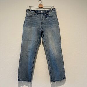 Anthropologie Pilcro The Vintage Straight Jeans